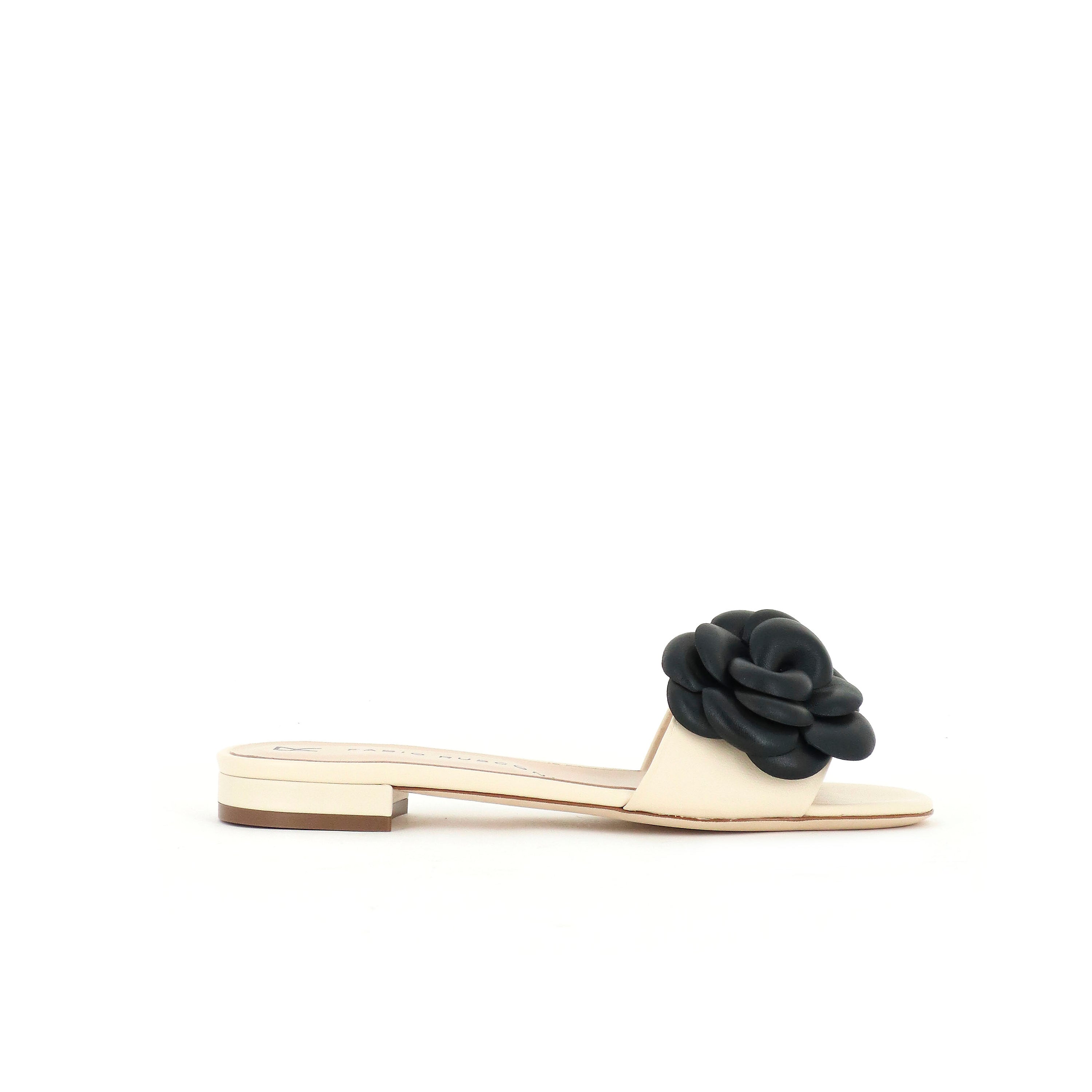 Asia Camelia